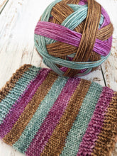 Load image into Gallery viewer, Tina Goldstein - Fantastic Beasts inspired - Self Striping Sock Yarn